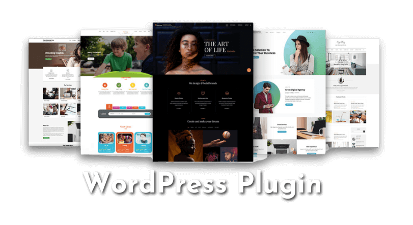 WordPress Plugin (1)